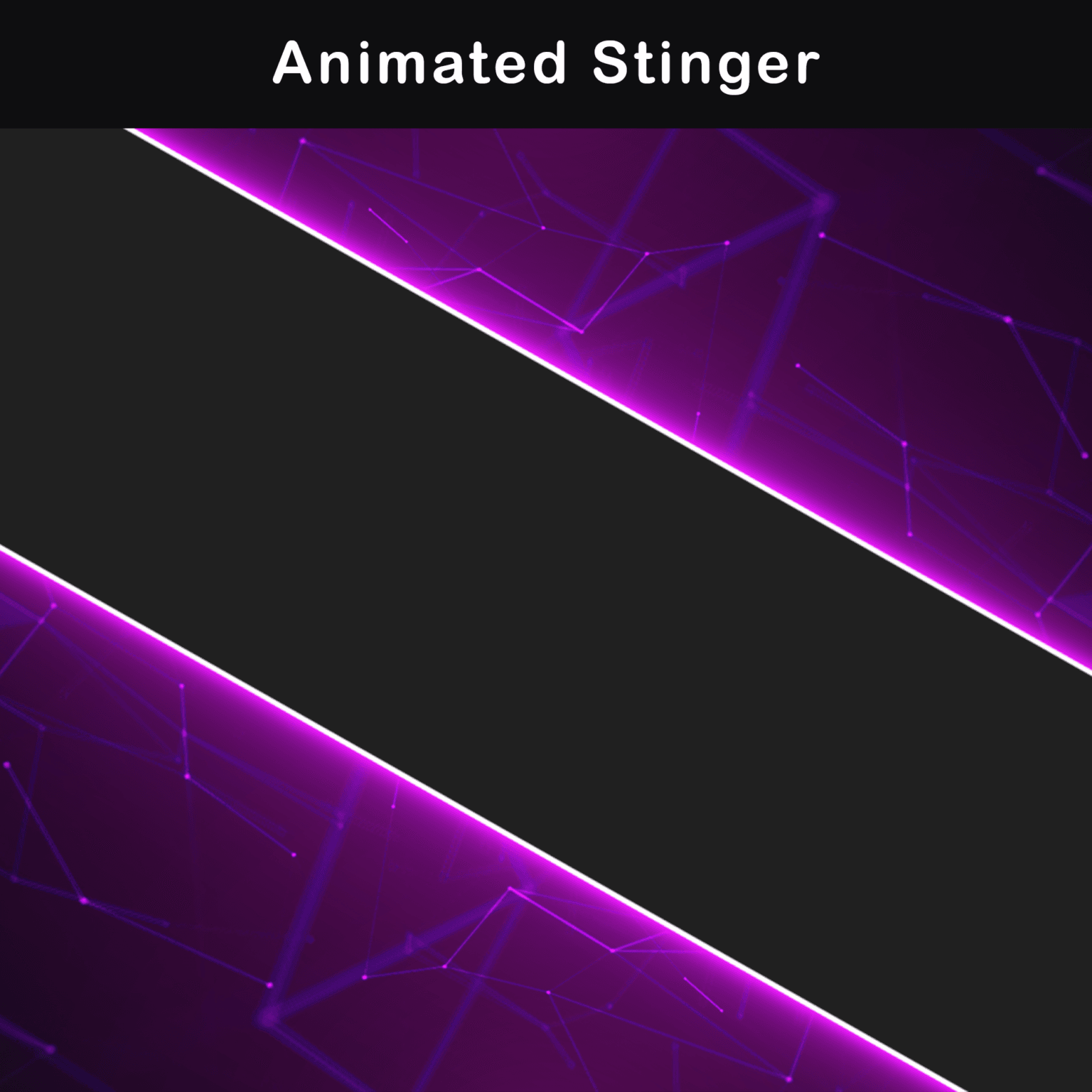 Animated stinger with pink and purple glowing lines.